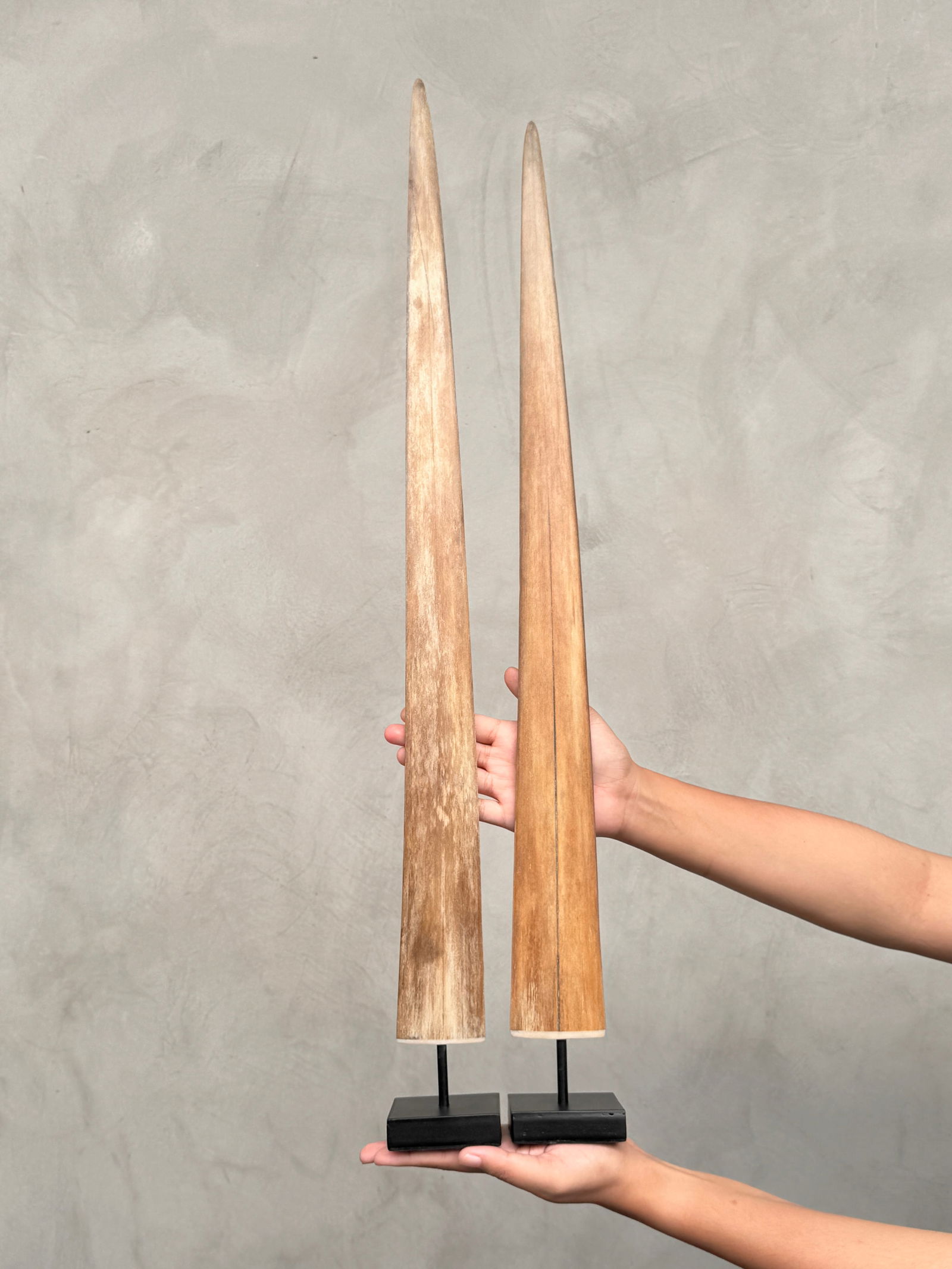 Pair of swordfish tusks with custom stands: Title: Pair of swordfish tusks with custom standsMaker:UnknownOrigin: IndonesiaDate/Period:2025Materials:Xiphius Gladius, Bone, SteelDimensions:Height including stand: Tusk 1: 72 cm / 28.3 inches 