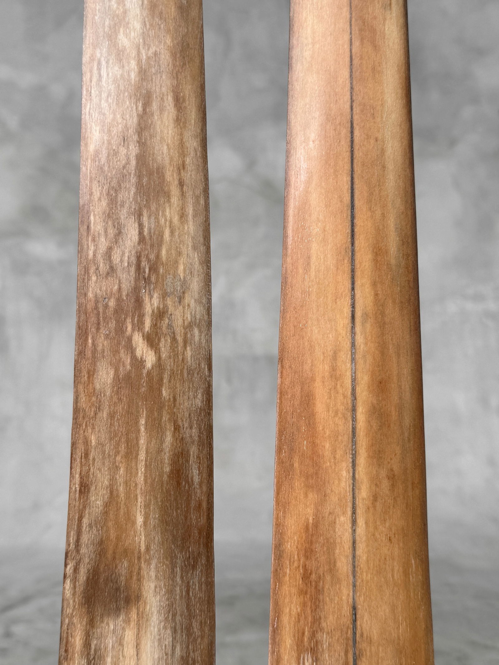 Pair of swordfish tusks with custom stands - 5