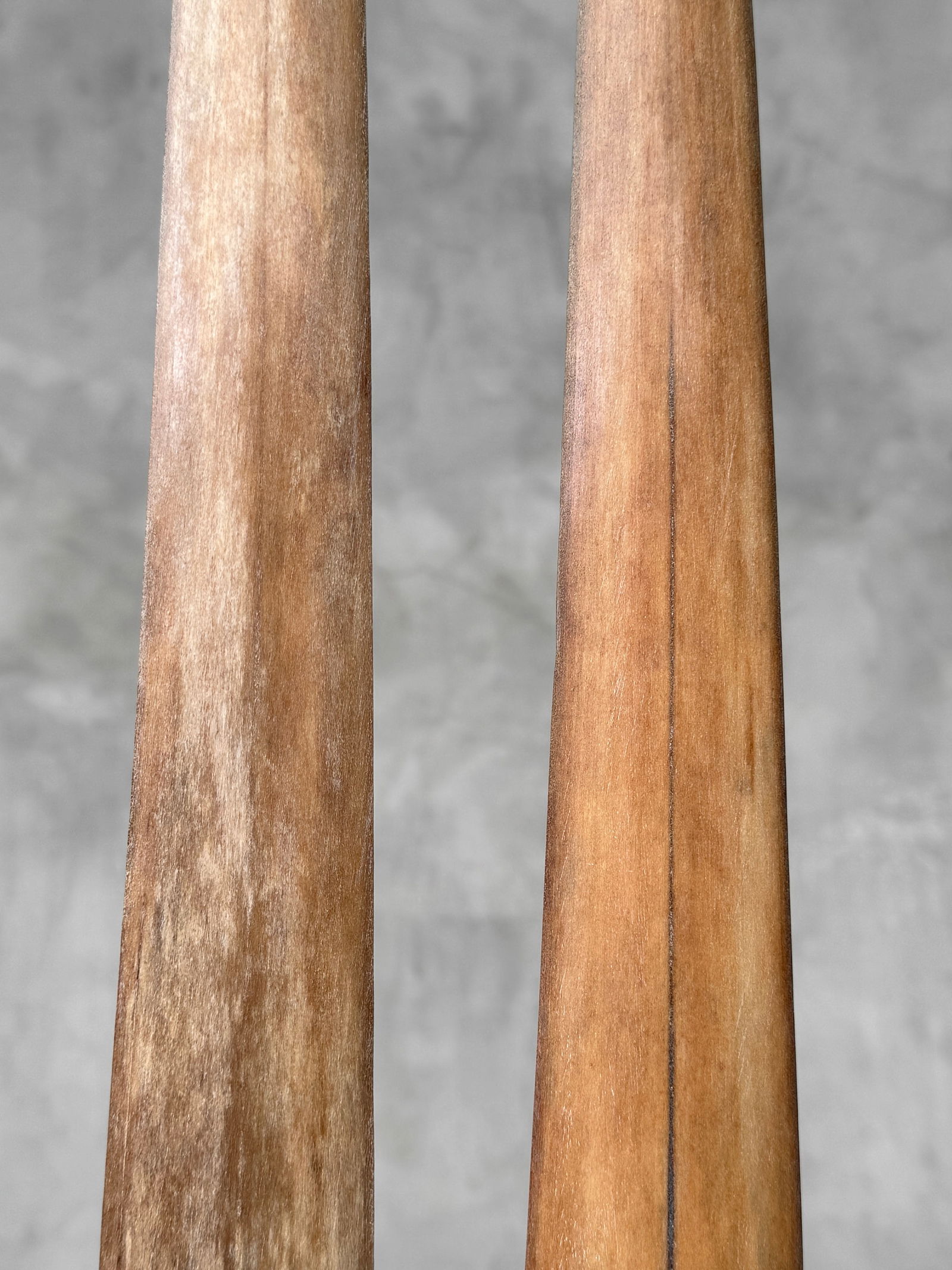 Pair of swordfish tusks with custom stands - 6