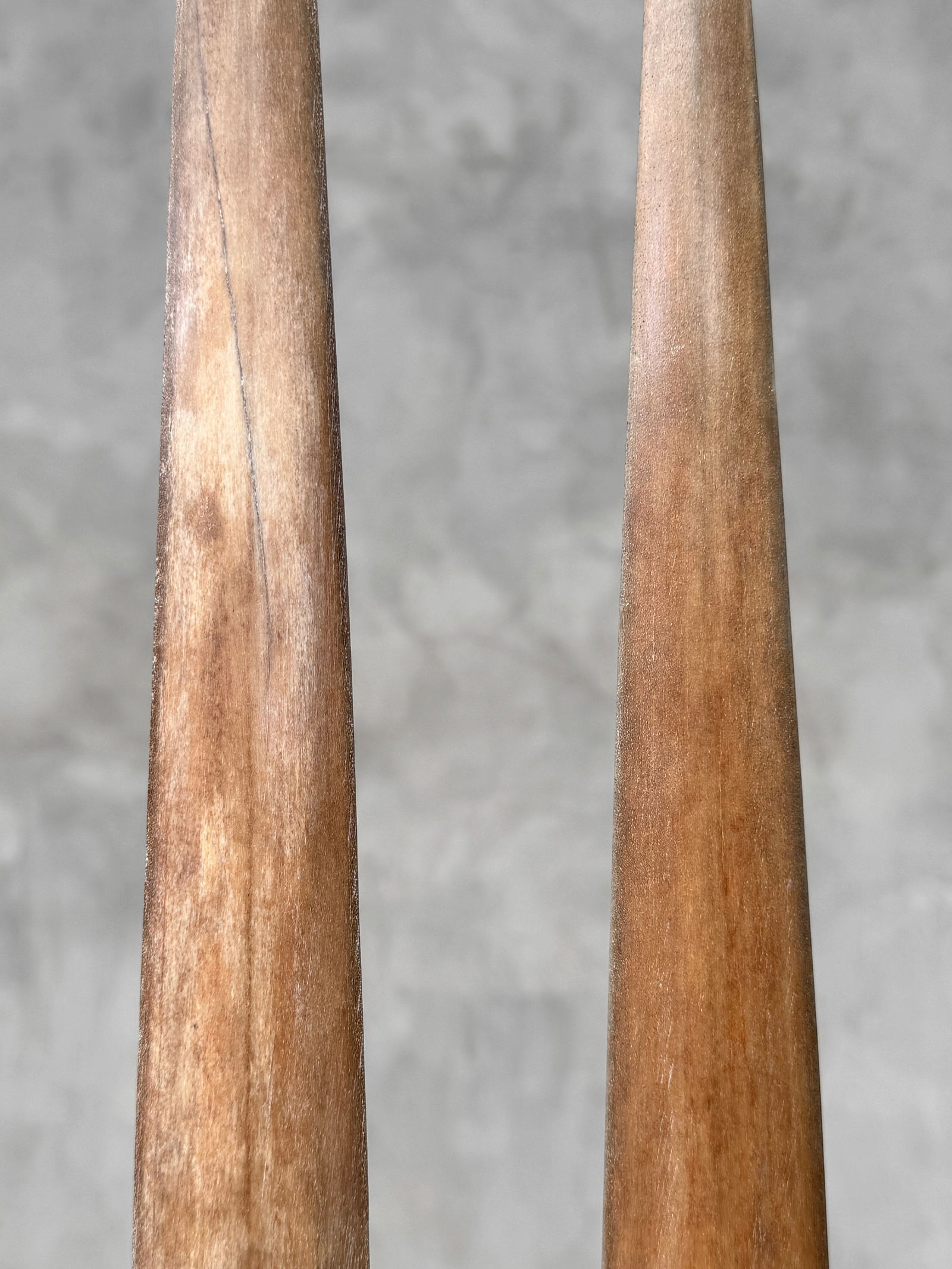 Pair of swordfish tusks with custom stands - 7