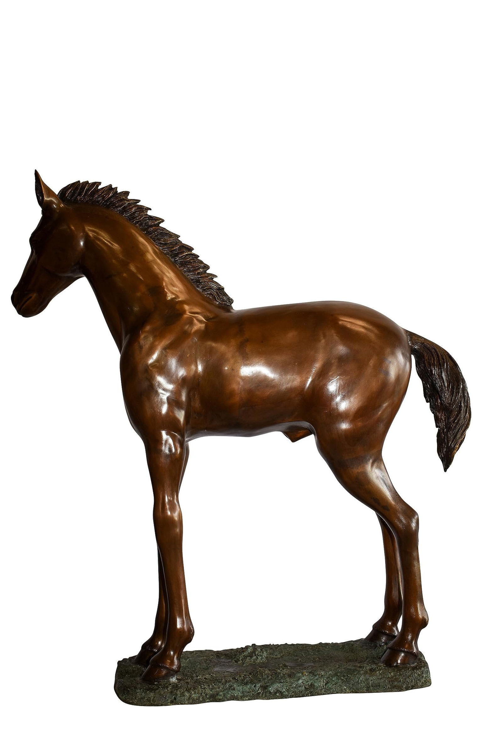 Standing Pony Made of Bronze Statue 47" x 12" x 48"H: Title:Standing Pony Made of Bronze Statue 47" x 12" x 48"HDescription:Here is a magnificent impressive bronze statue of a standing horse. This solid bronze handmade, brown patina sculpture was cast