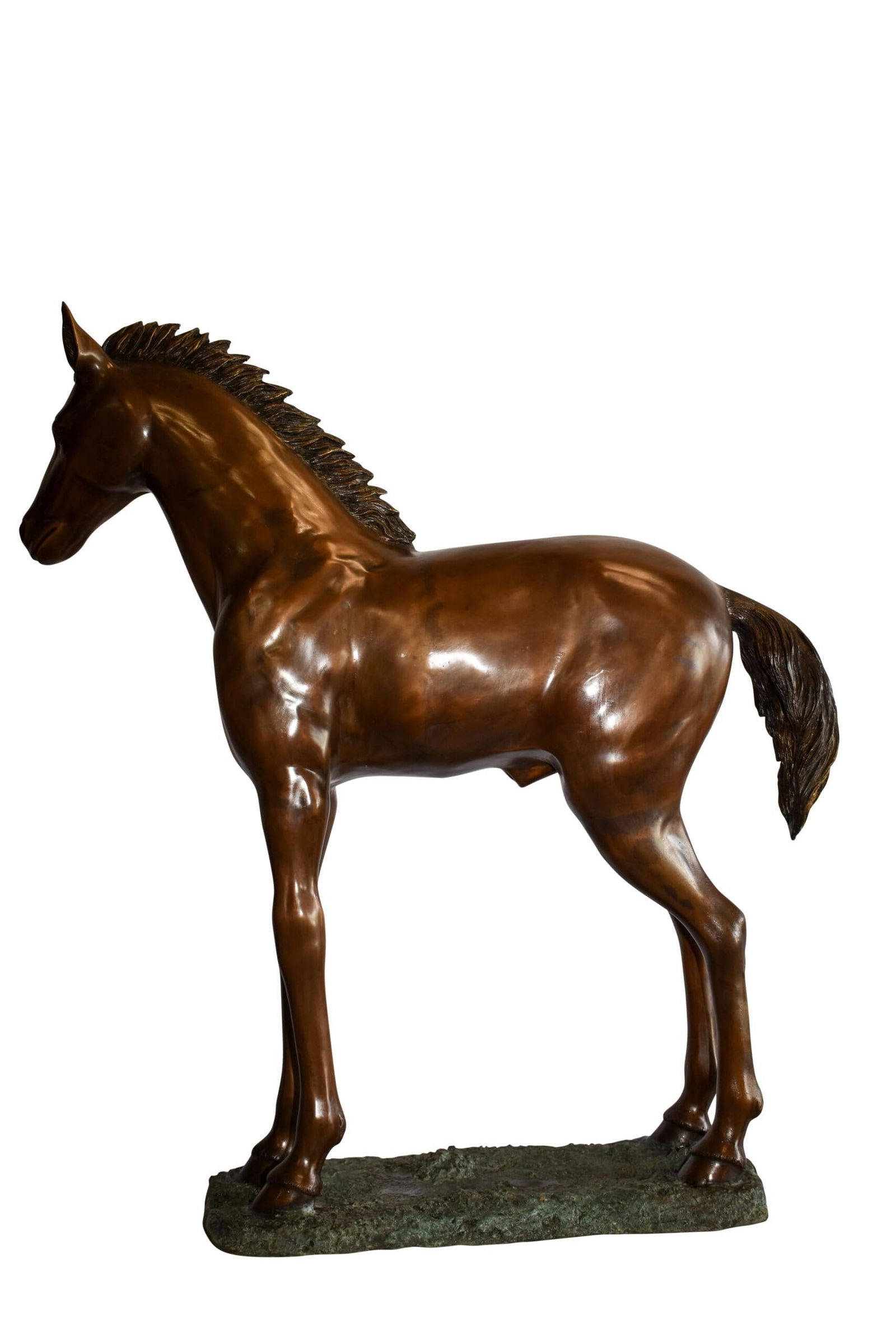 Standing Pony Made of Bronze Statue 47" x 12" x 48"H - 3