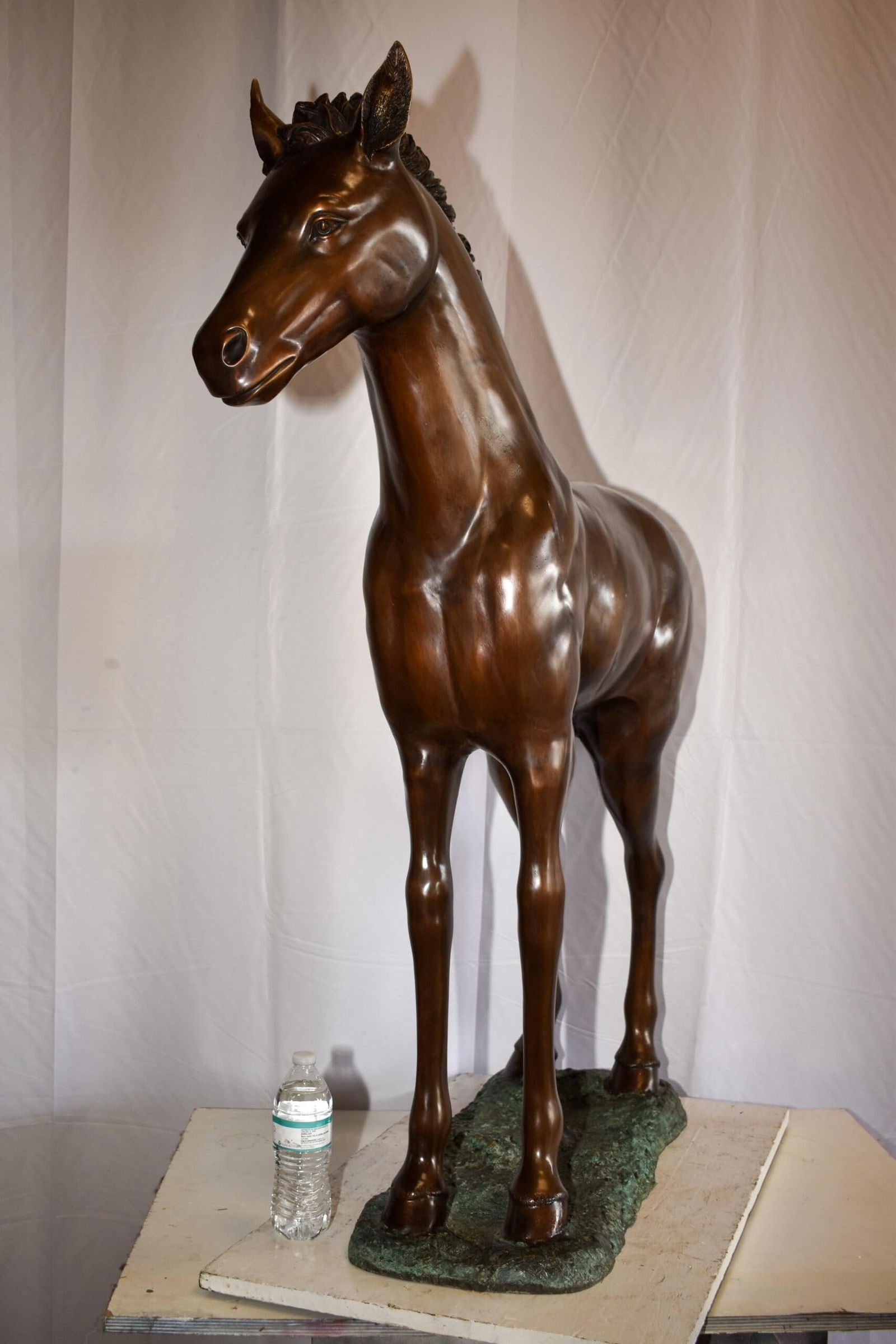 Standing Pony Made of Bronze Statue 47" x 12" x 48"H - 6