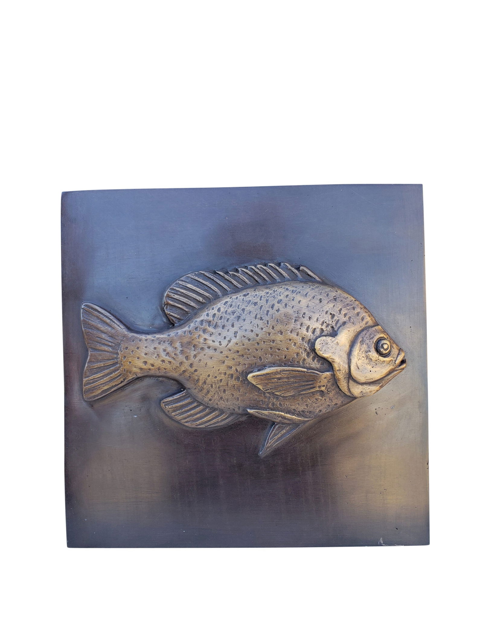 Single Fish made of Bronze Wall decor Size: 10" x 10" x 1"H: Title:Single Fish made of Bronze Wall decor Size: 10" x 10" x 1"H Description:This bronze wall decor piece displays an imprint of a spotted fish. This simple yet contemporary piece is artistic and wou