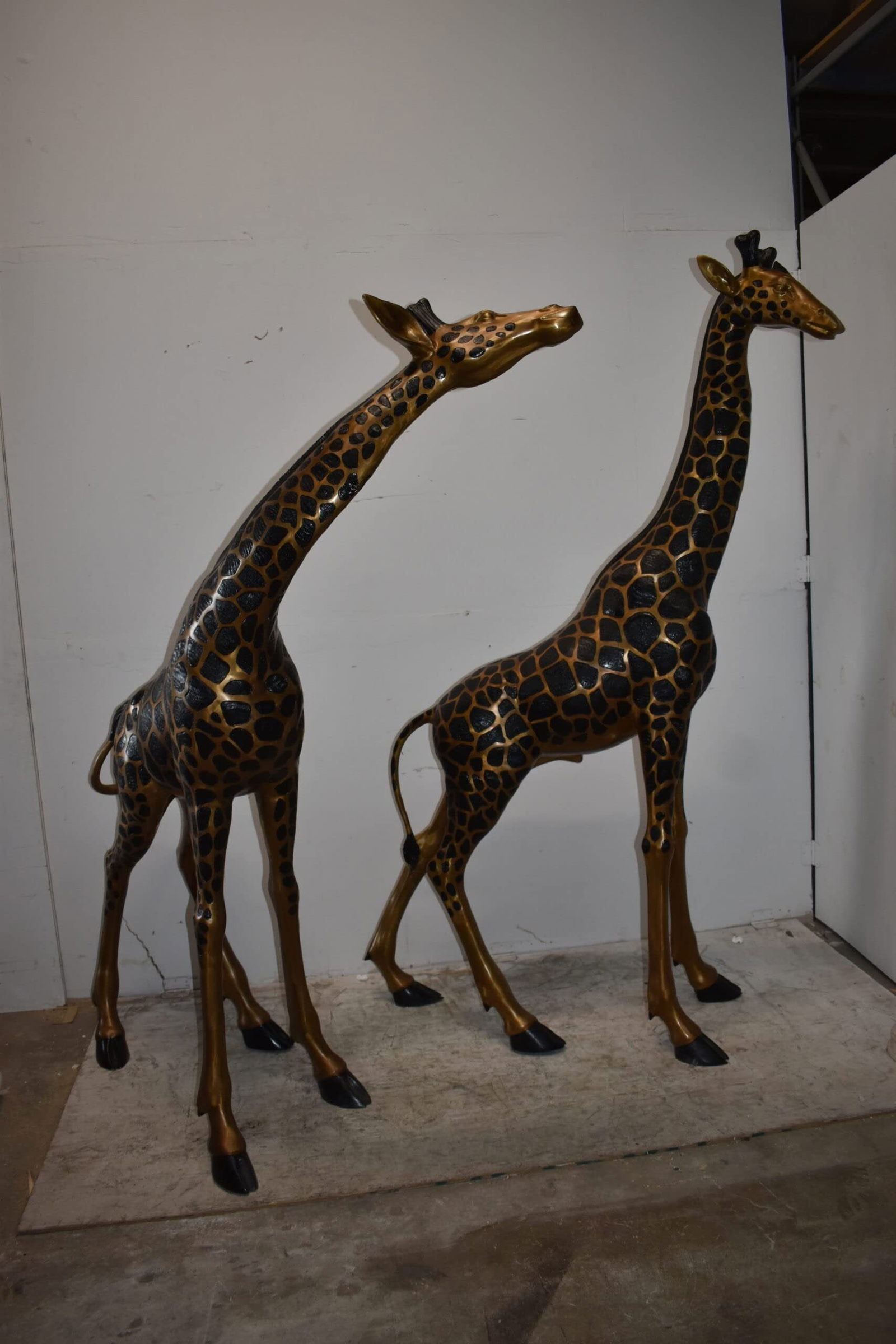 Pair of Young Playful Giraffes Bronze Statue Size: 54" x 18" x 89"H - 5