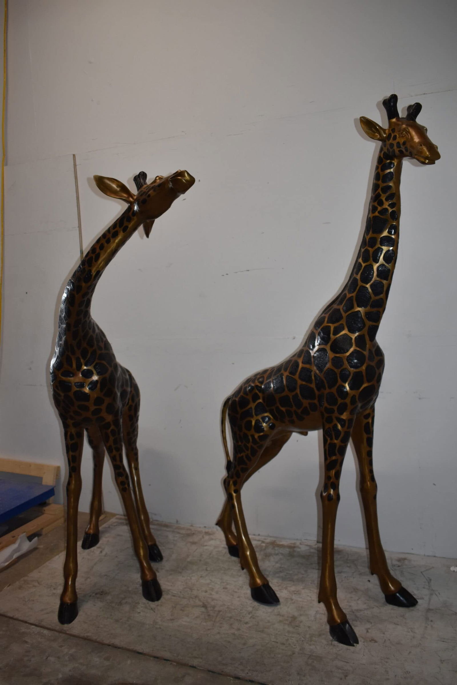 Pair of Young Playful Giraffes Bronze Statue Size: 54" x 18" x 89"H - 6