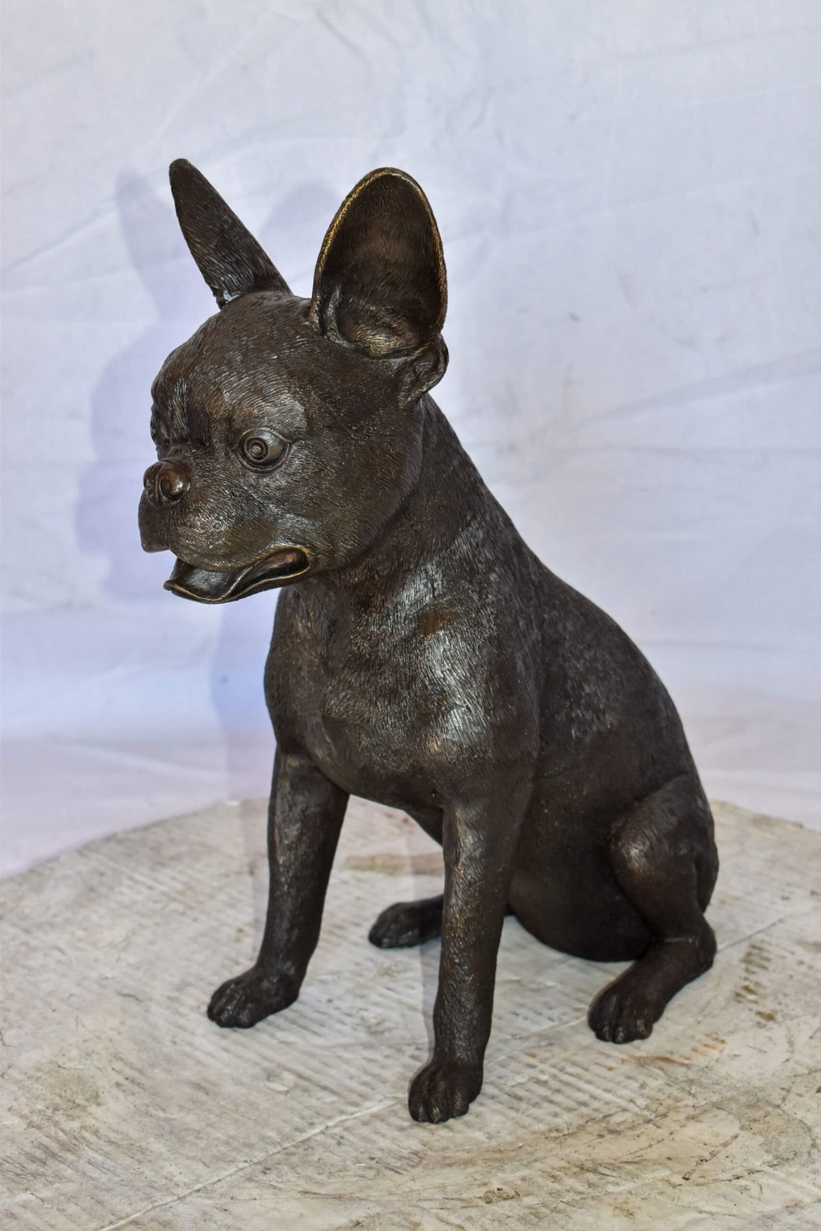 Boston Terrier Dog Happily Sitting Bronze Statue Size: 7" x 13" x 17"H - 4
