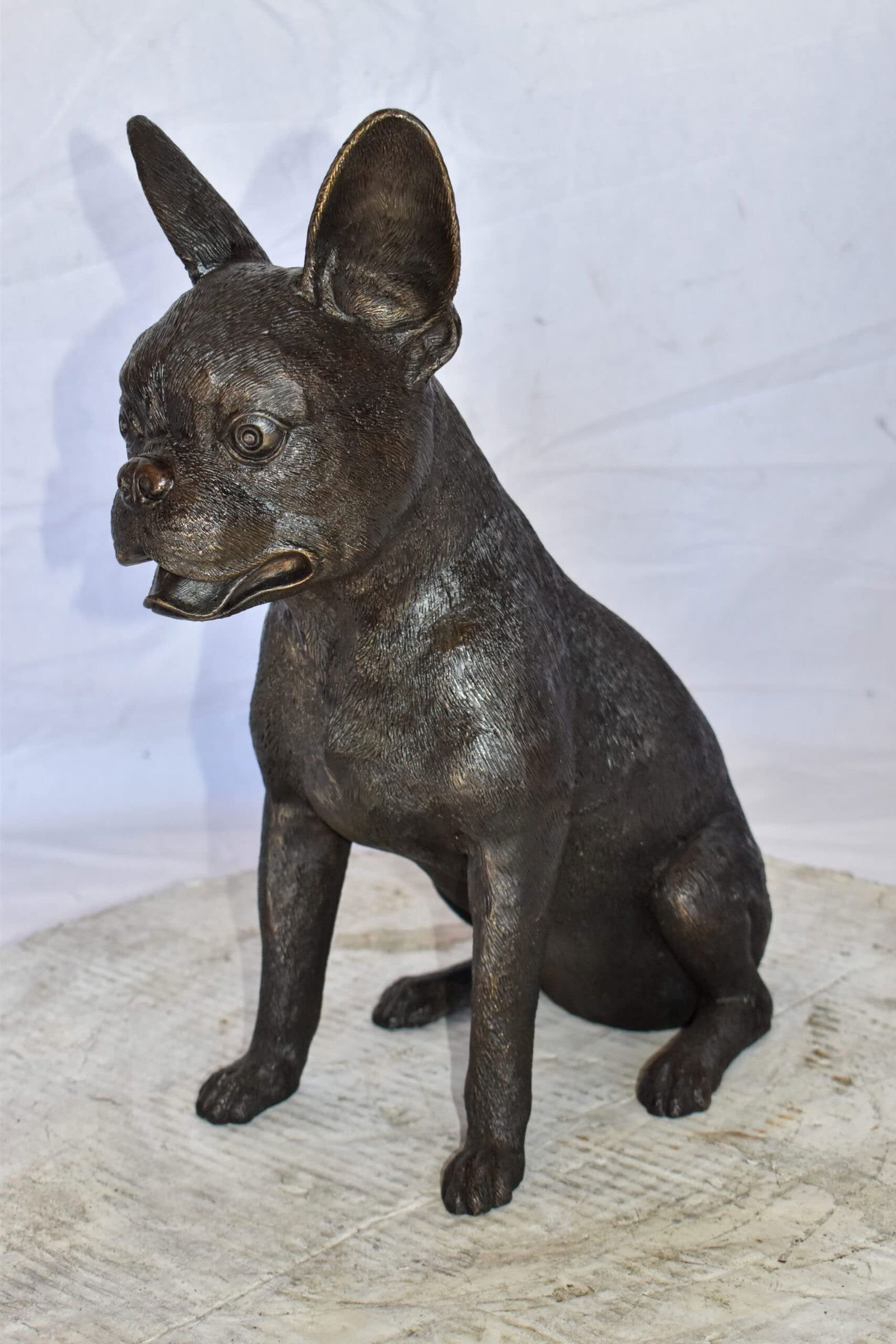 Boston Terrier Dog Happily Sitting Bronze Statue Size: 7" x 13" x 17"H - 5