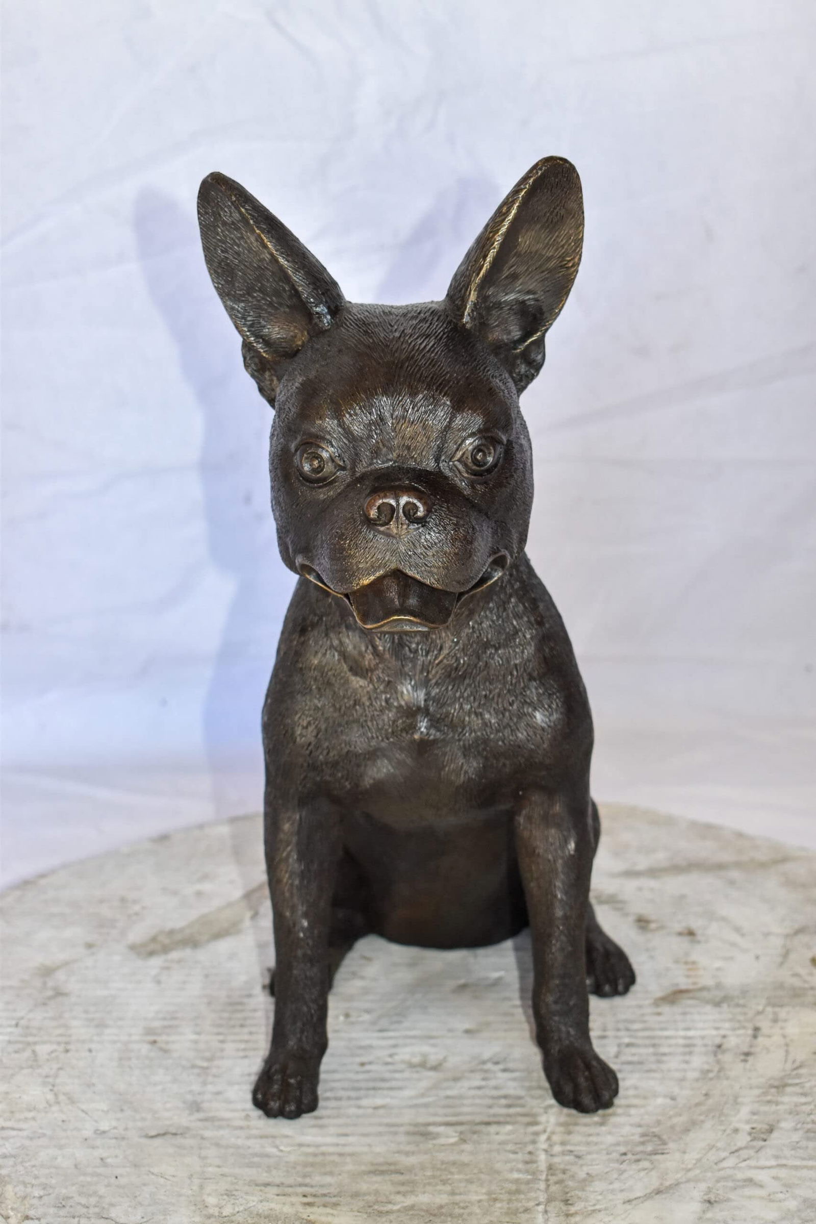 Boston Terrier Dog Happily Sitting Bronze Statue Size: 7" x 13" x 17"H - 6