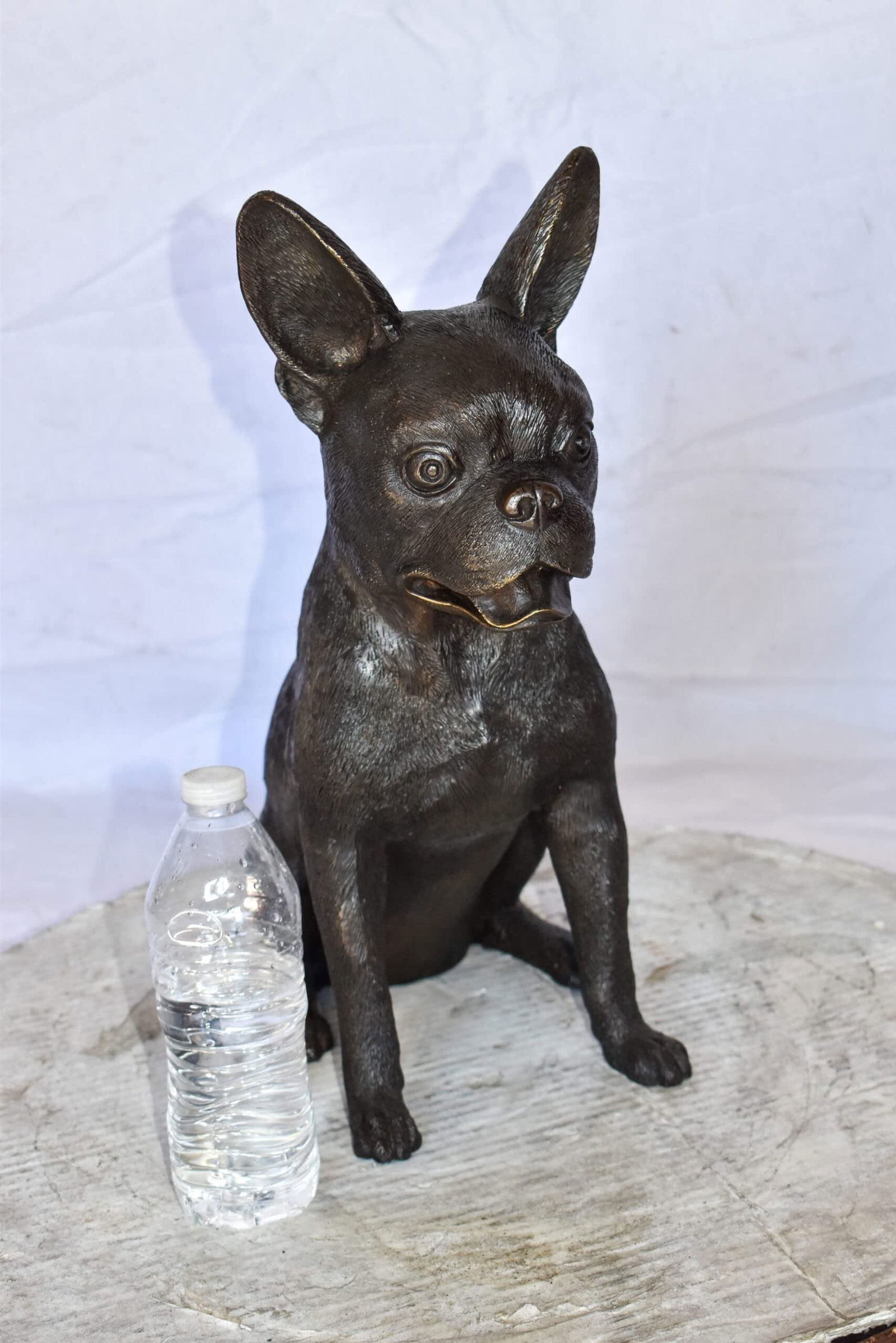 Boston Terrier Dog Happily Sitting Bronze Statue Size: 7" x 13" x 17"H - 7