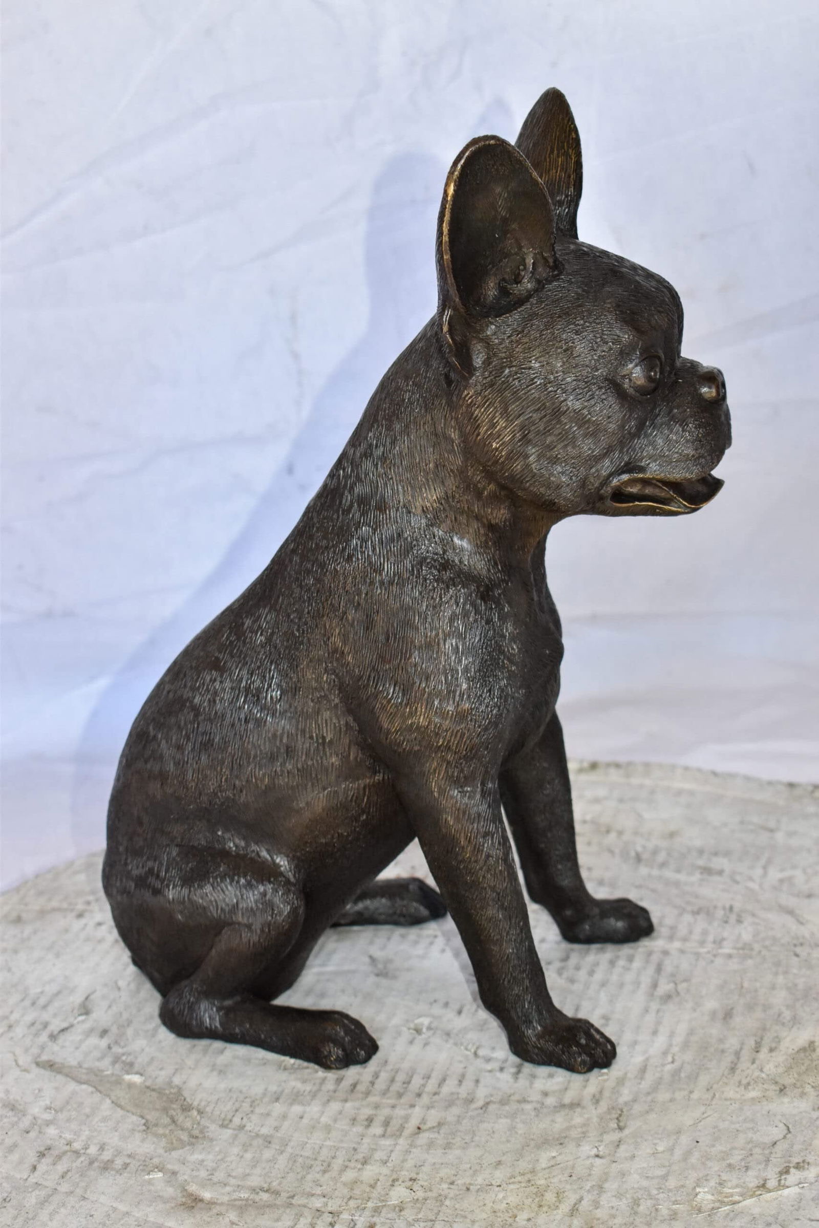 Boston Terrier Dog Happily Sitting Bronze Statue Size: 7" x 13" x 17"H - 8