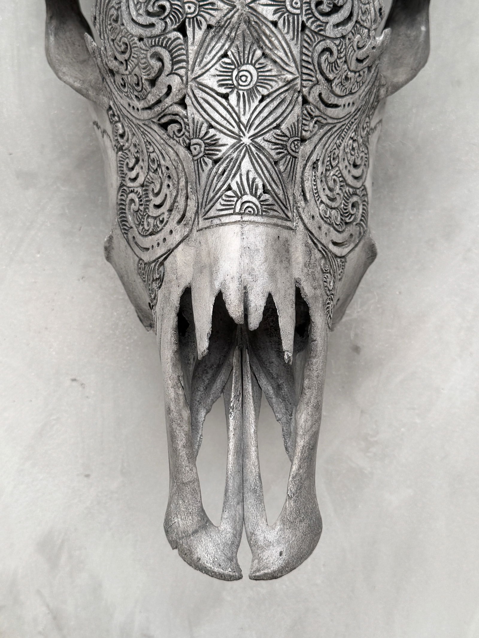 Carved cow skull with carved horns - Ketimun lotus motif - 4