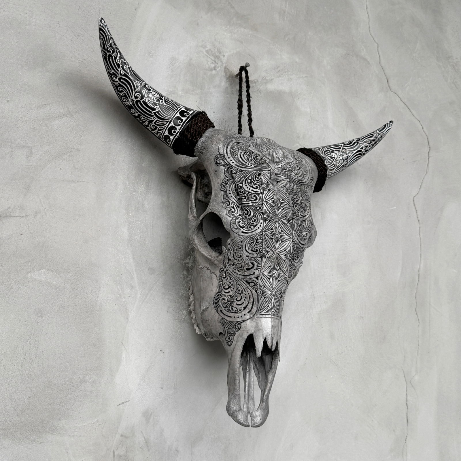 Carved cow skull with carved horns - Ketimun lotus motif - 5
