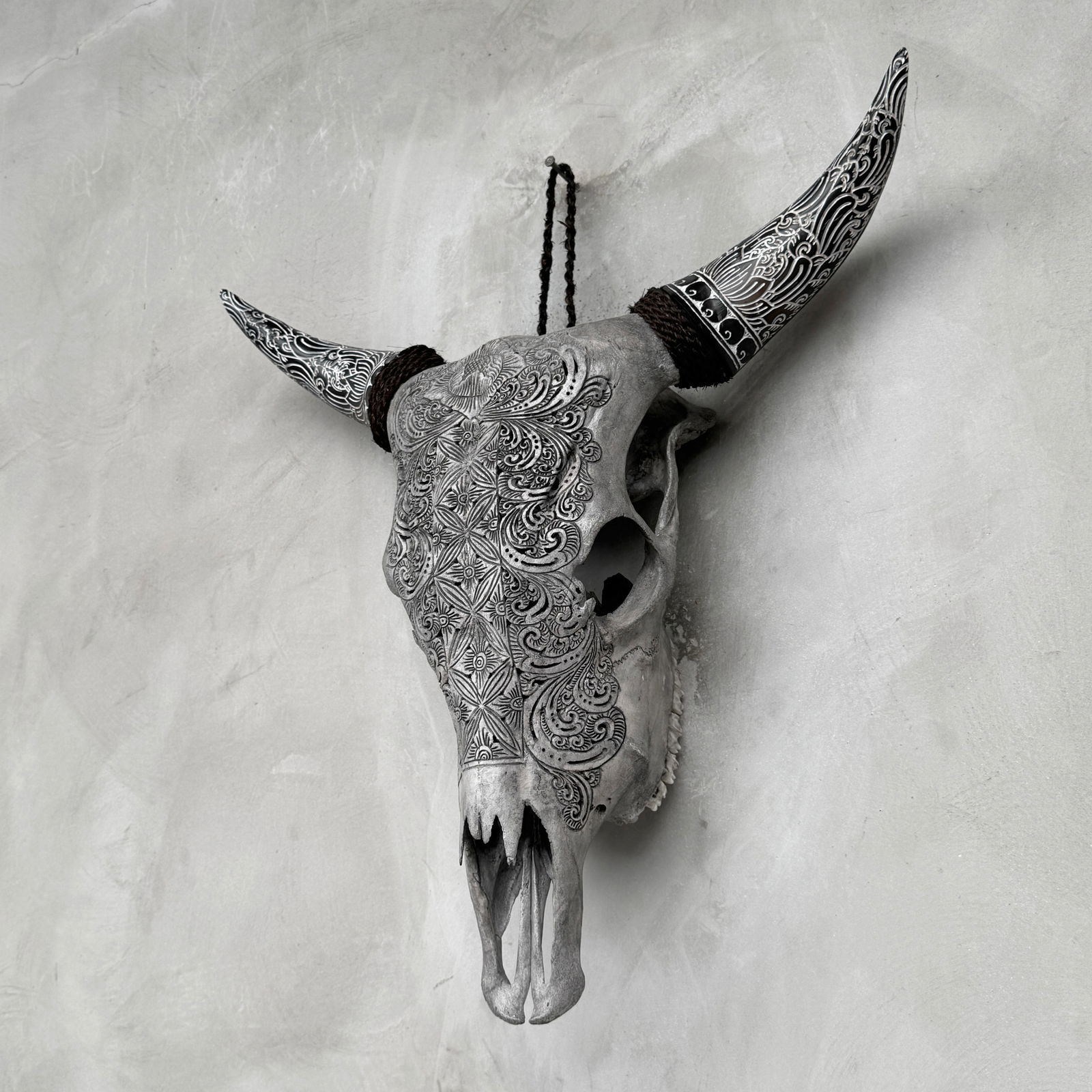 Carved cow skull with carved horns - Ketimun lotus motif - 7