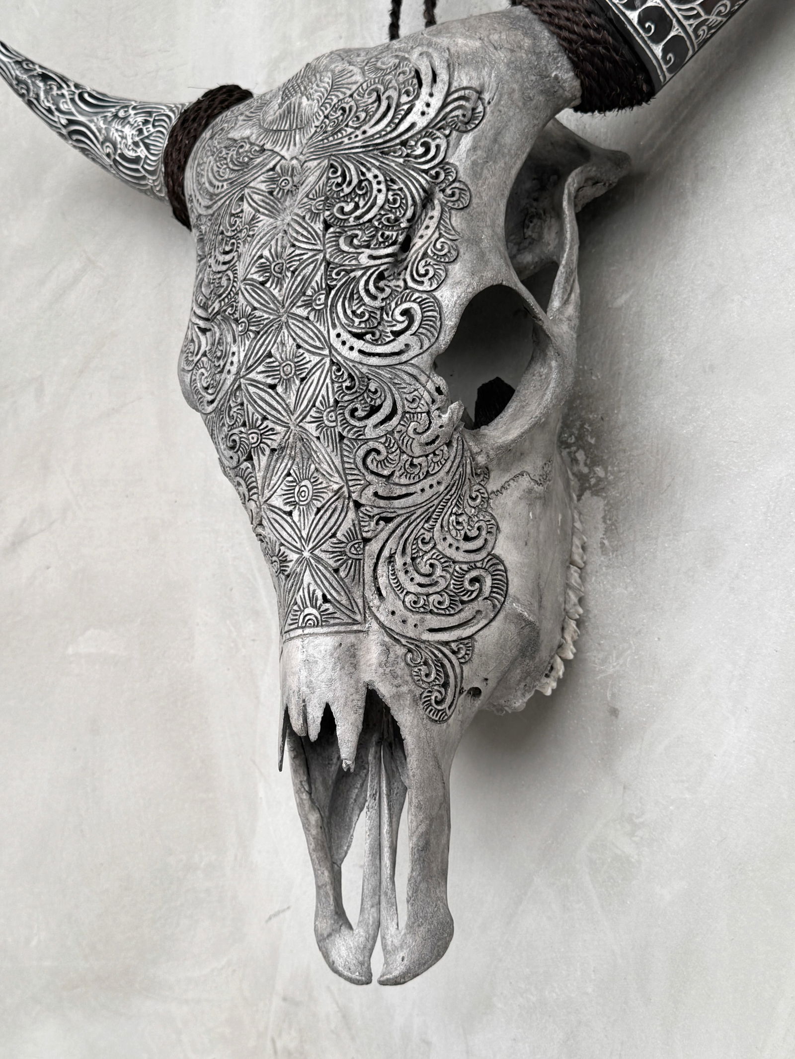 Carved cow skull with carved horns - Ketimun lotus motif - 8