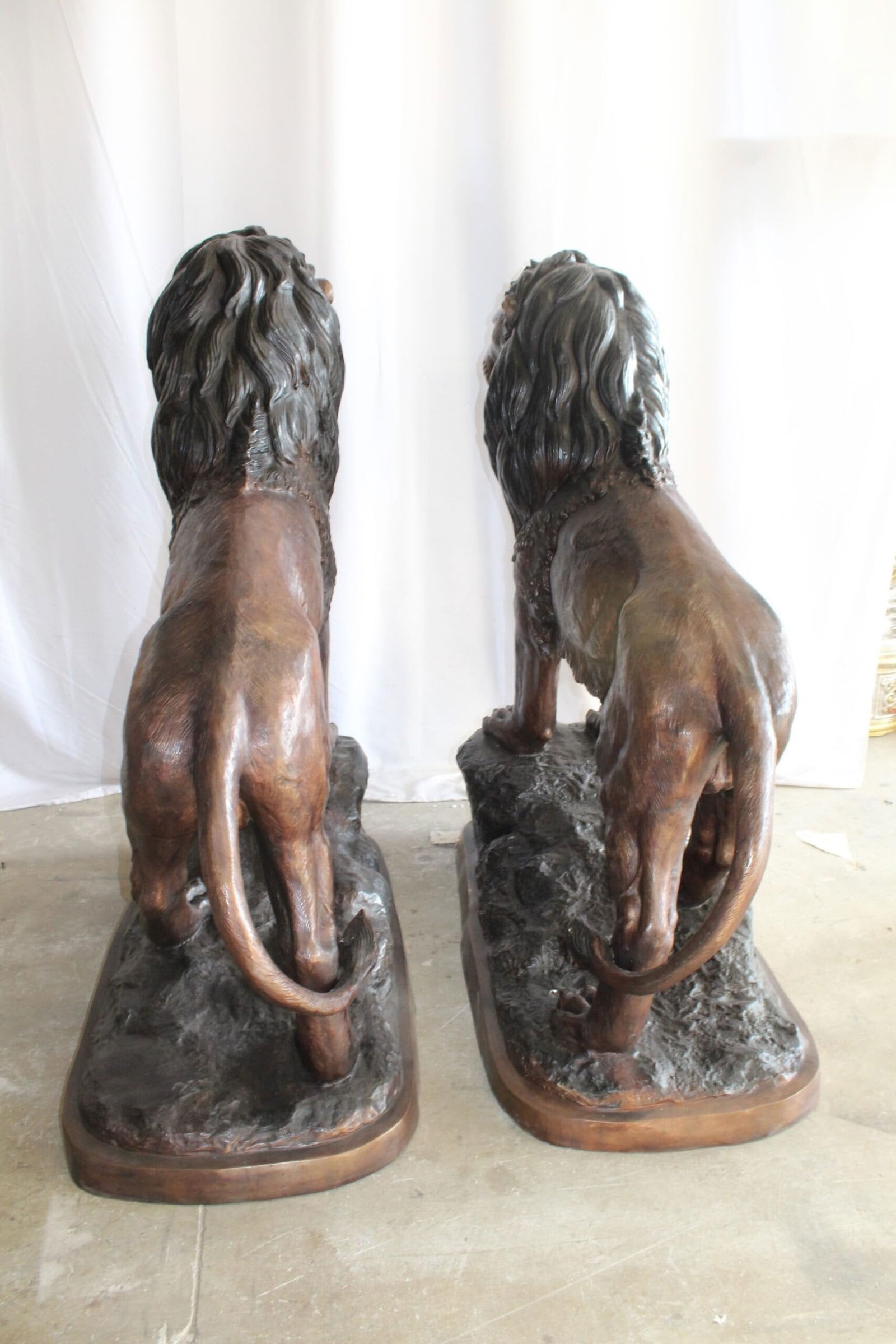 Lifesized Pair of Lions Bronze Statues 58" x 30" x 62"H - 10