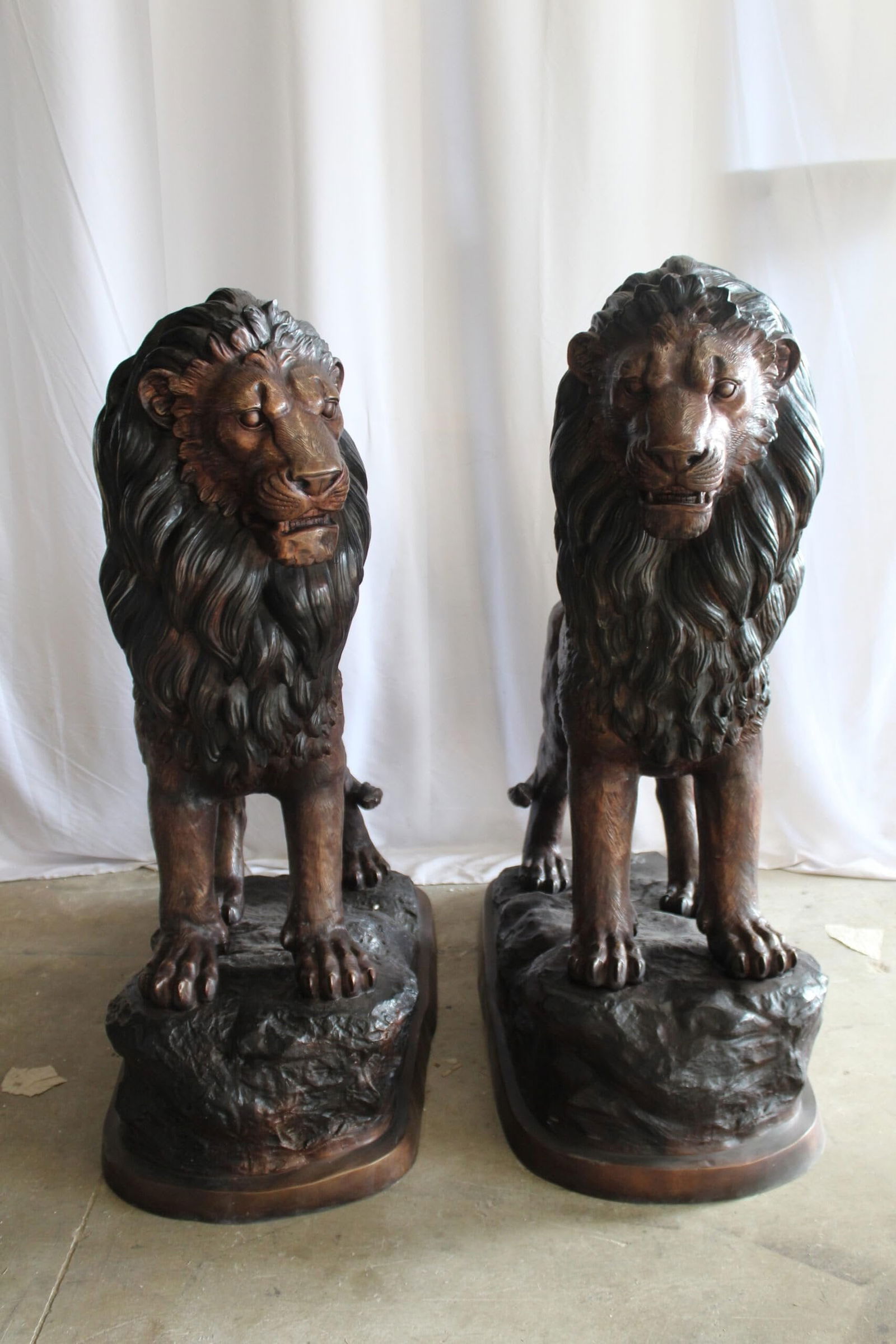 Lifesized Pair of Lions Bronze Statues 58" x 30" x 62"H - 4