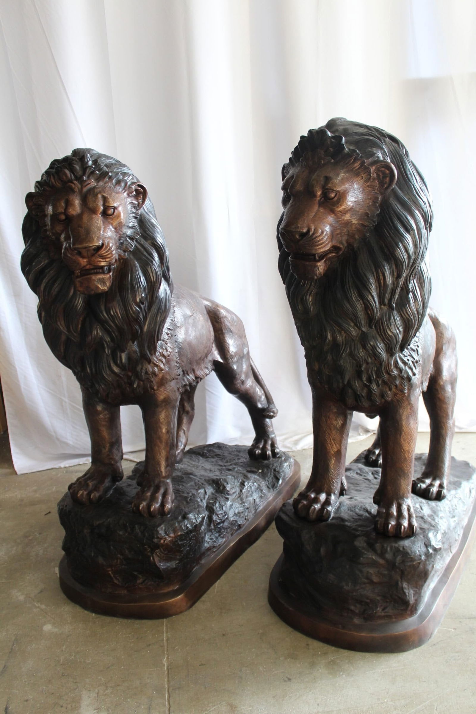 Lifesized Pair of Lions Bronze Statues 58" x 30" x 62"H - 6