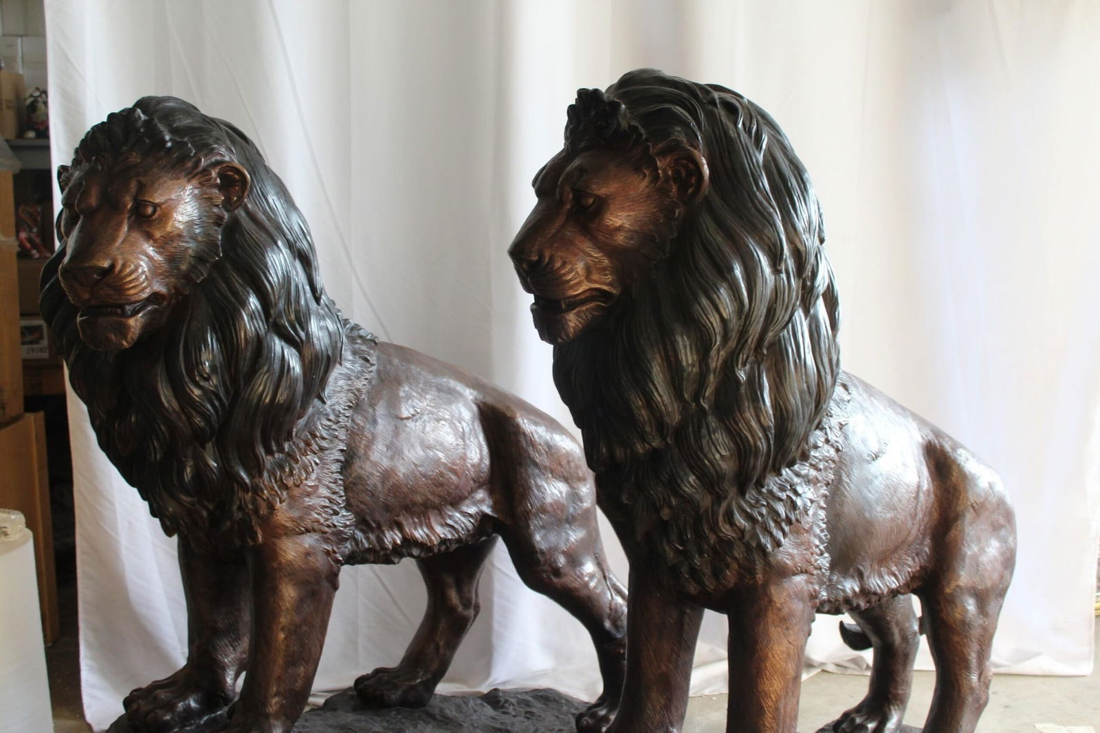 Lifesized Pair of Lions Bronze Statues 58" x 30" x 62"H - 7
