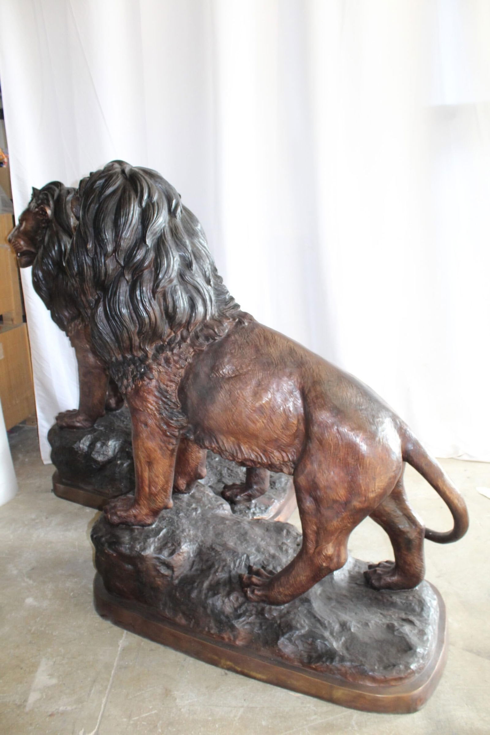 Lifesized Pair of Lions Bronze Statues 58" x 30" x 62"H - 8