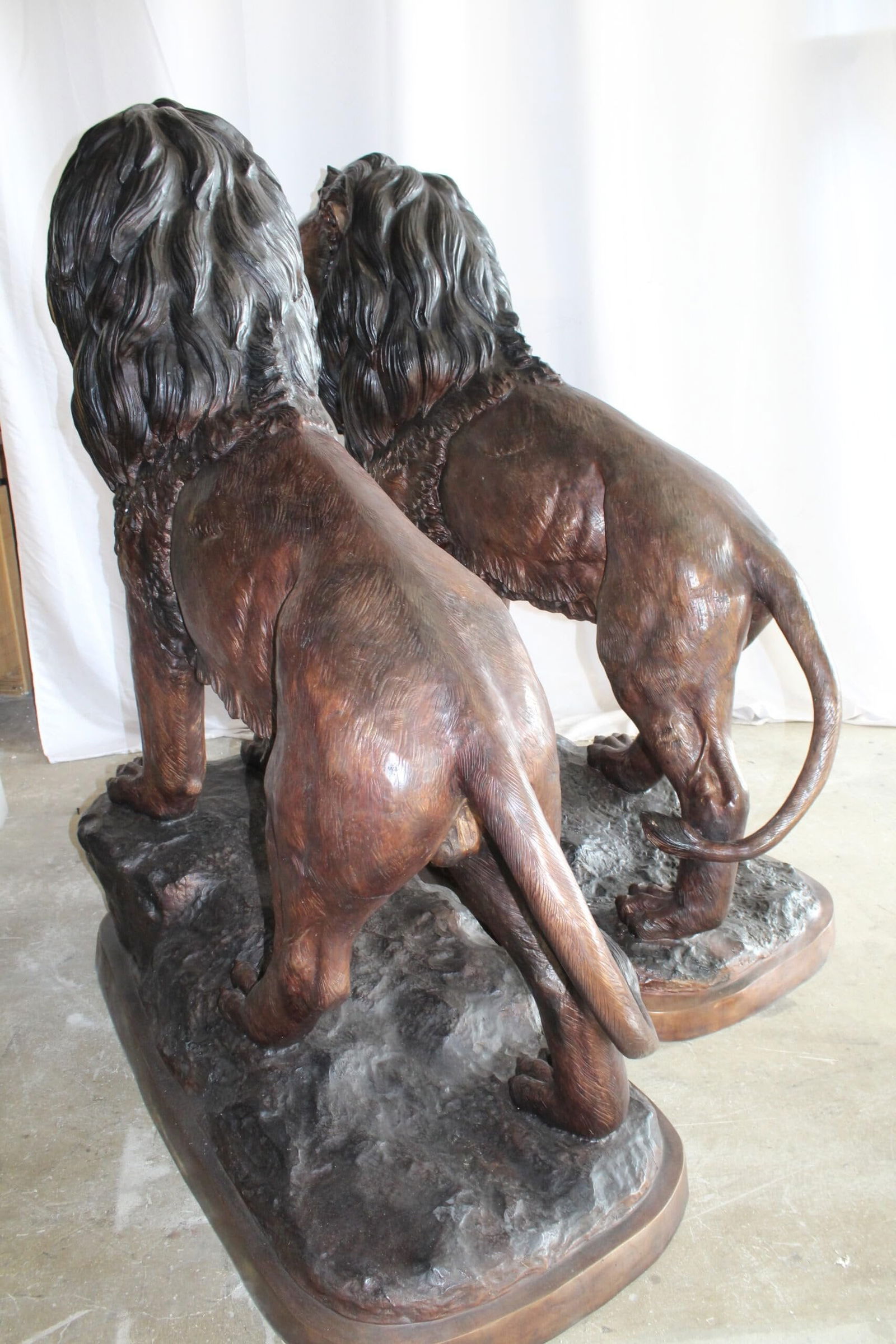 Lifesized Pair of Lions Bronze Statues 58" x 30" x 62"H - 9