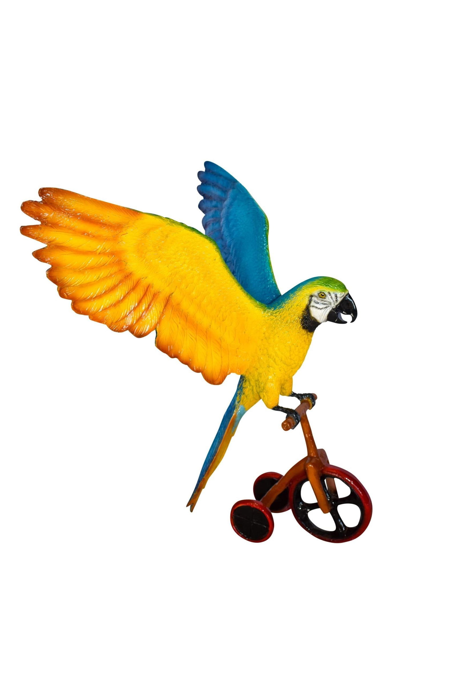 Colorful Parrot Riding a Tricycle Bronze Statue Size: 17" x 11" x 19"H: Title:Colorful Parrot Riding a Tricycle Bronze Statue Size: 17" x 11" x 19"H Description:This humorous bronze statue displays a colorful parrot riding on a trycicle. The statue ensured pure artistry b