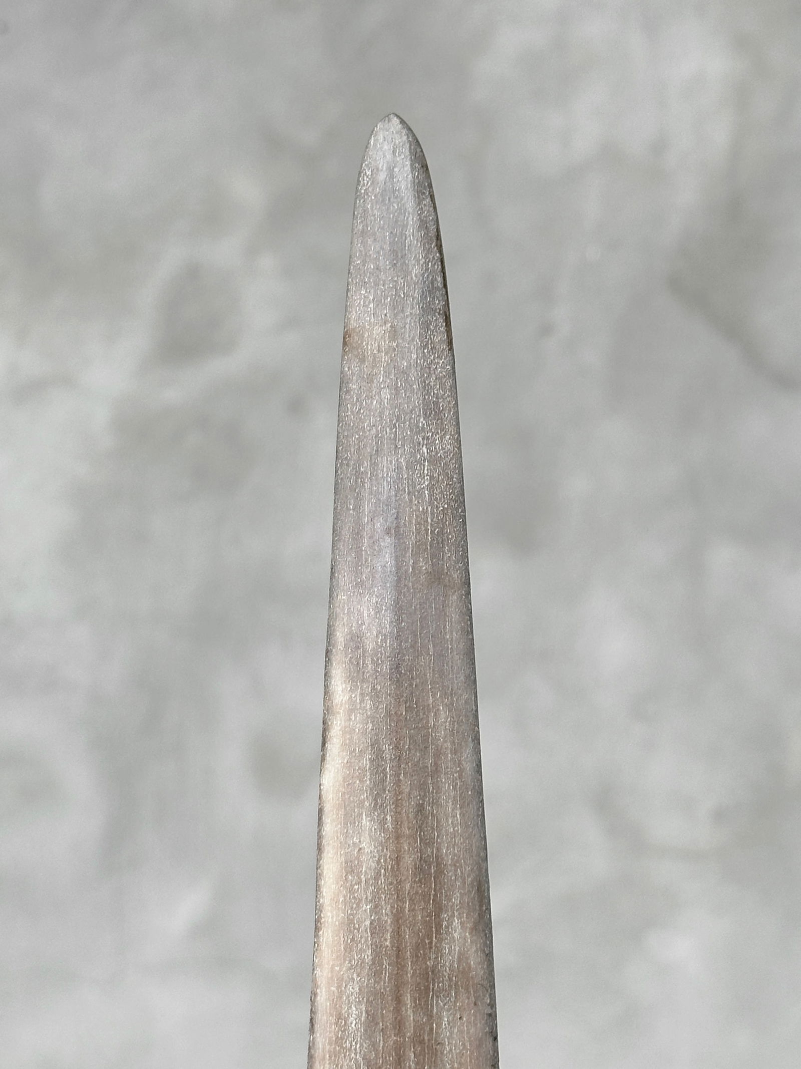 Large swordfish tusk - Wheku & Tiki - 10