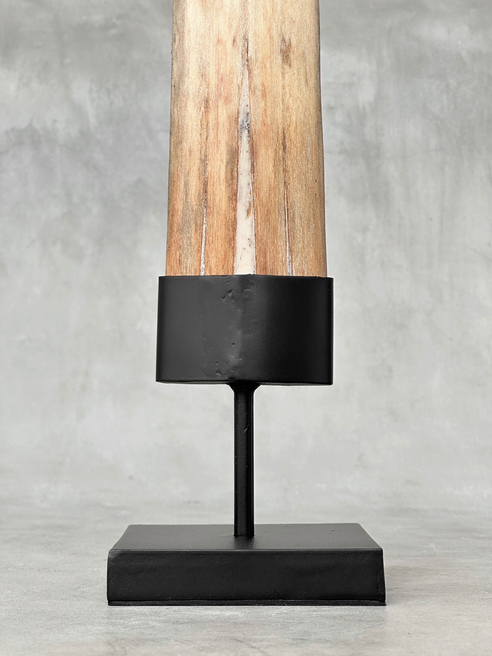 Large swordfish tusk - Wheku & Tiki - 9