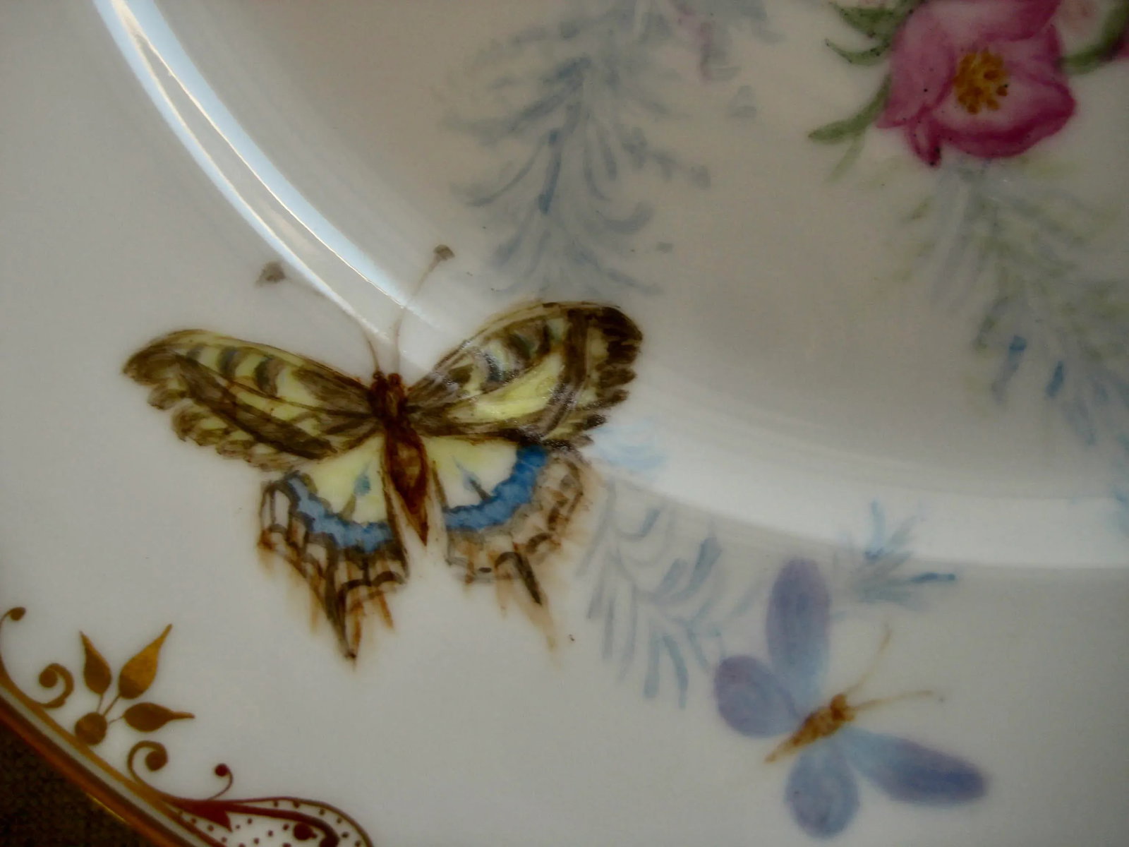 Set of 12 Sevres Botanical Plates, 1874 - 11