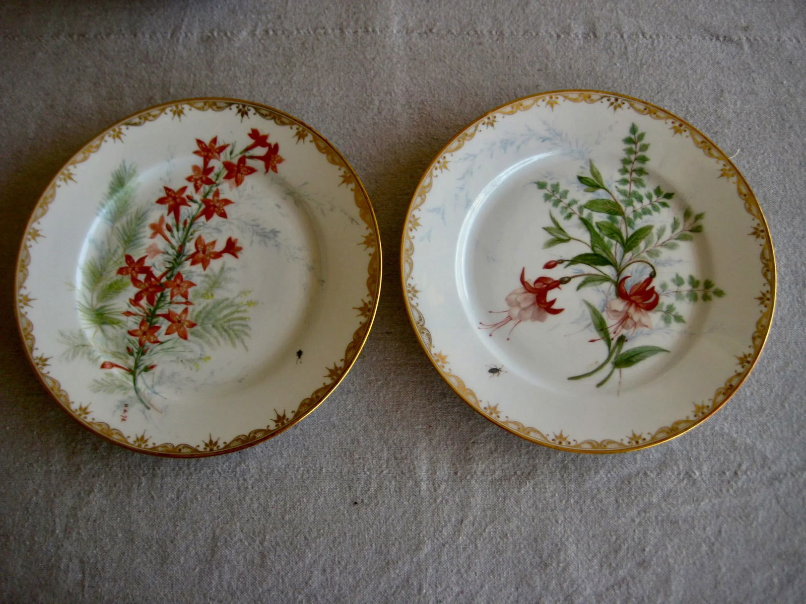 Set of 12 Sevres Botanical Plates, 1874 - 2