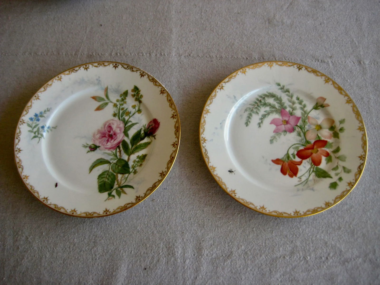 Set of 12 Sevres Botanical Plates, 1874 - 3