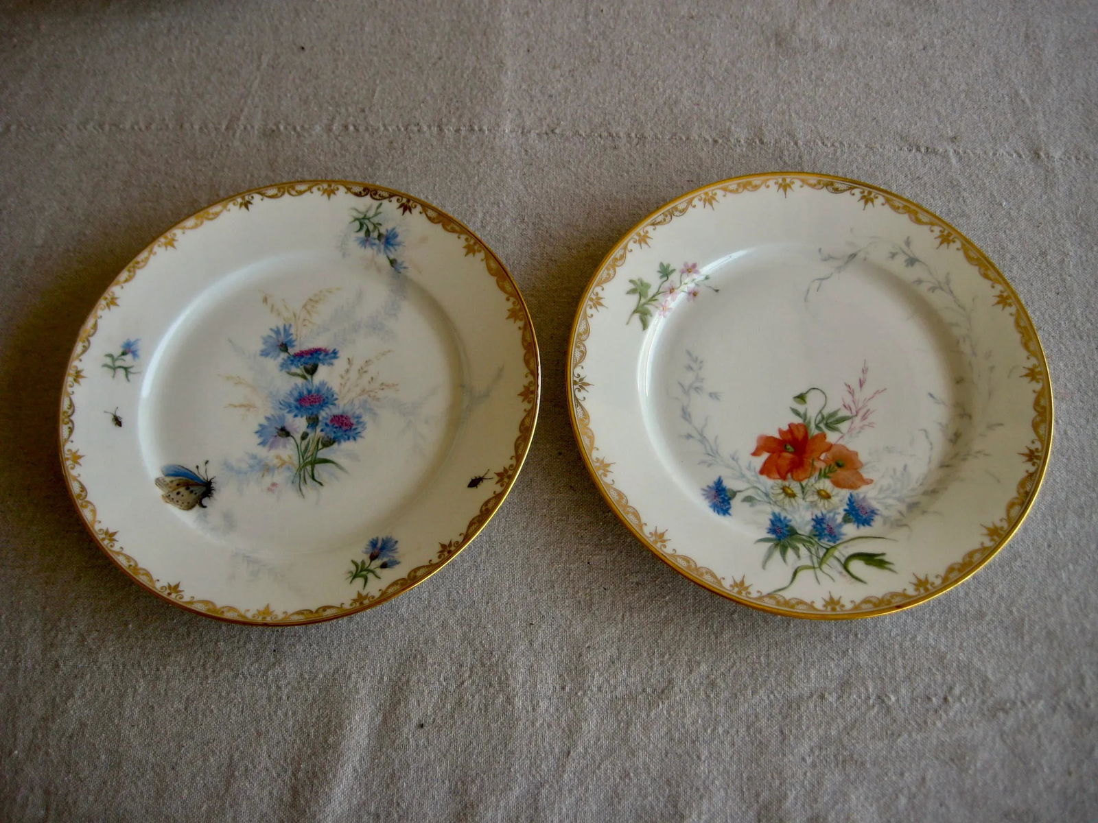 Set of 12 Sevres Botanical Plates, 1874 - 4