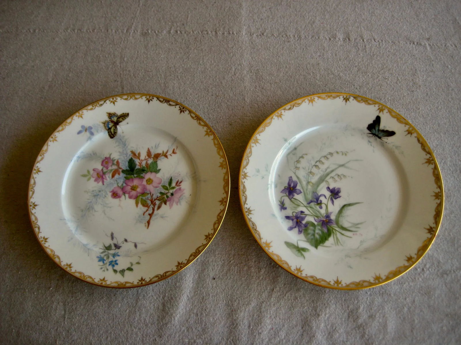 Set of 12 Sevres Botanical Plates, 1874 - 5