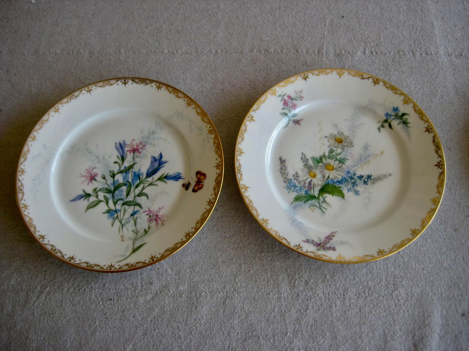 Set of 12 Sevres Botanical Plates, 1874 - 7