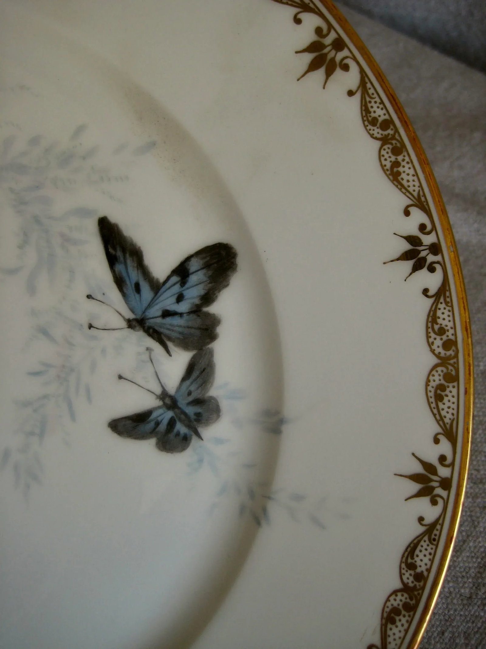 Set of 12 Sevres Botanical Plates, 1874 - 9