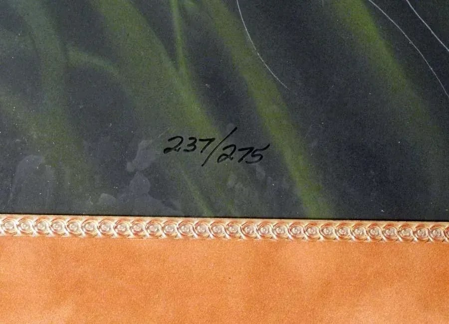 Frank Howell "Spring Matrix" Serigraph Hand Signed Artwork With Custom Framed - 3