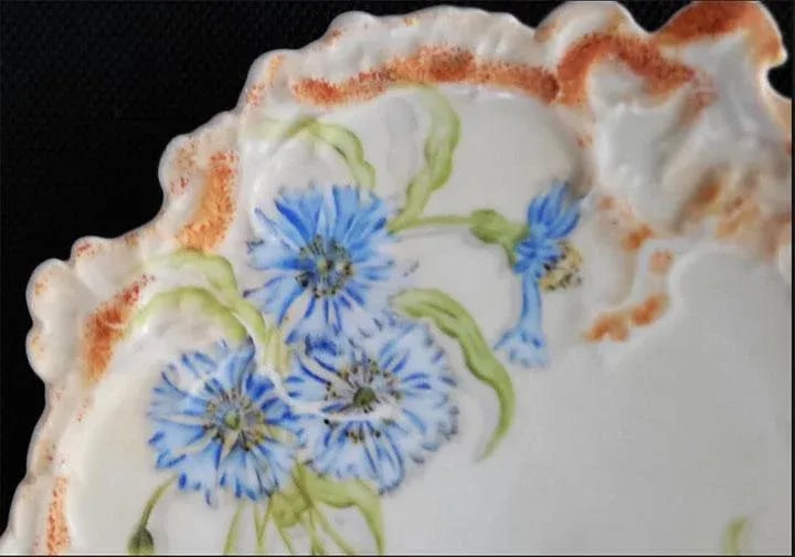 Viennese Porcelain China Serving Bowl & 8 Plates - Leonard Vienna Austria - 5