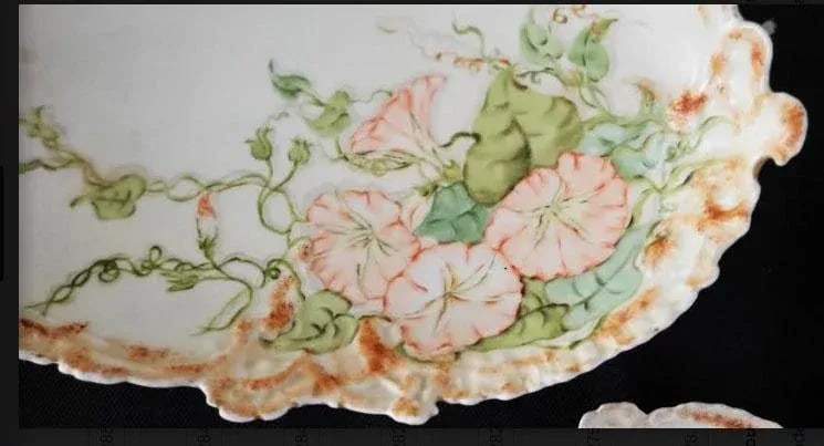 Viennese Porcelain China Serving Bowl & 8 Plates - Leonard Vienna Austria - 9