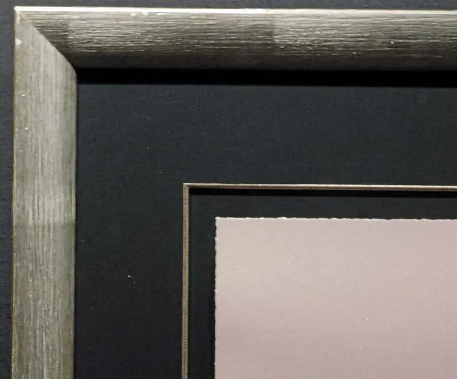 R.C.Gorman "Gala I" Original Lithograph on Paper Artwork Framed - 4