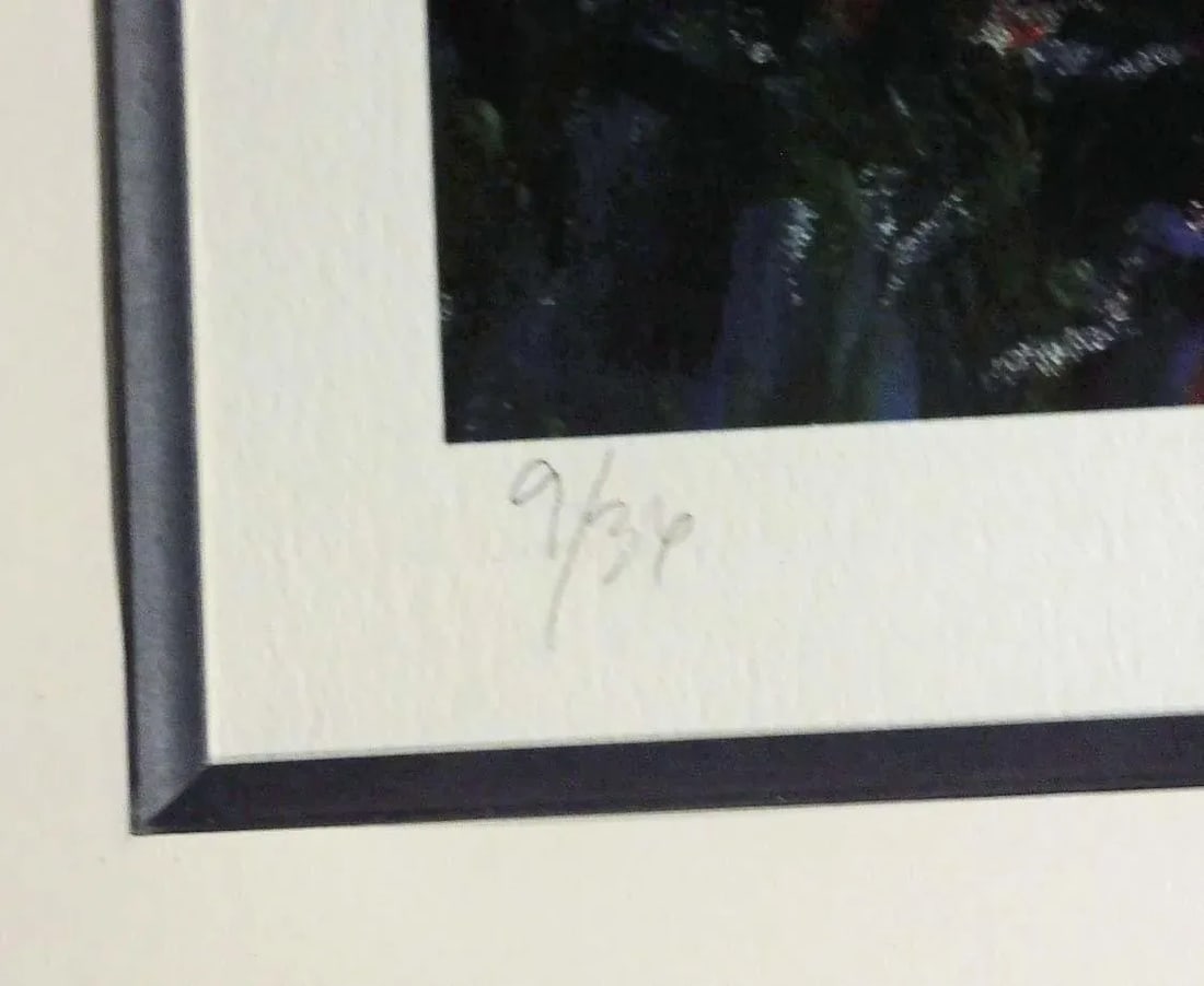 Aldo Luongo "Forest Dusk" Hand Signed # With Custom Frame - 2