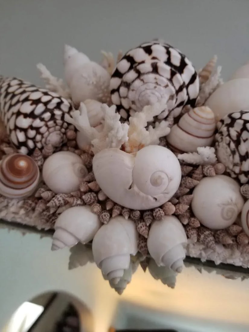 Handmade Natural Sea Shell Encrusted Wall Mirror - 2