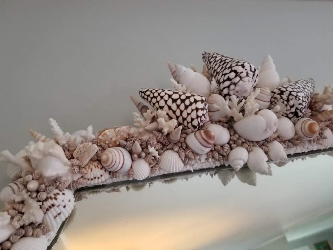 Handmade Natural Sea Shell Encrusted Wall Mirror - 4