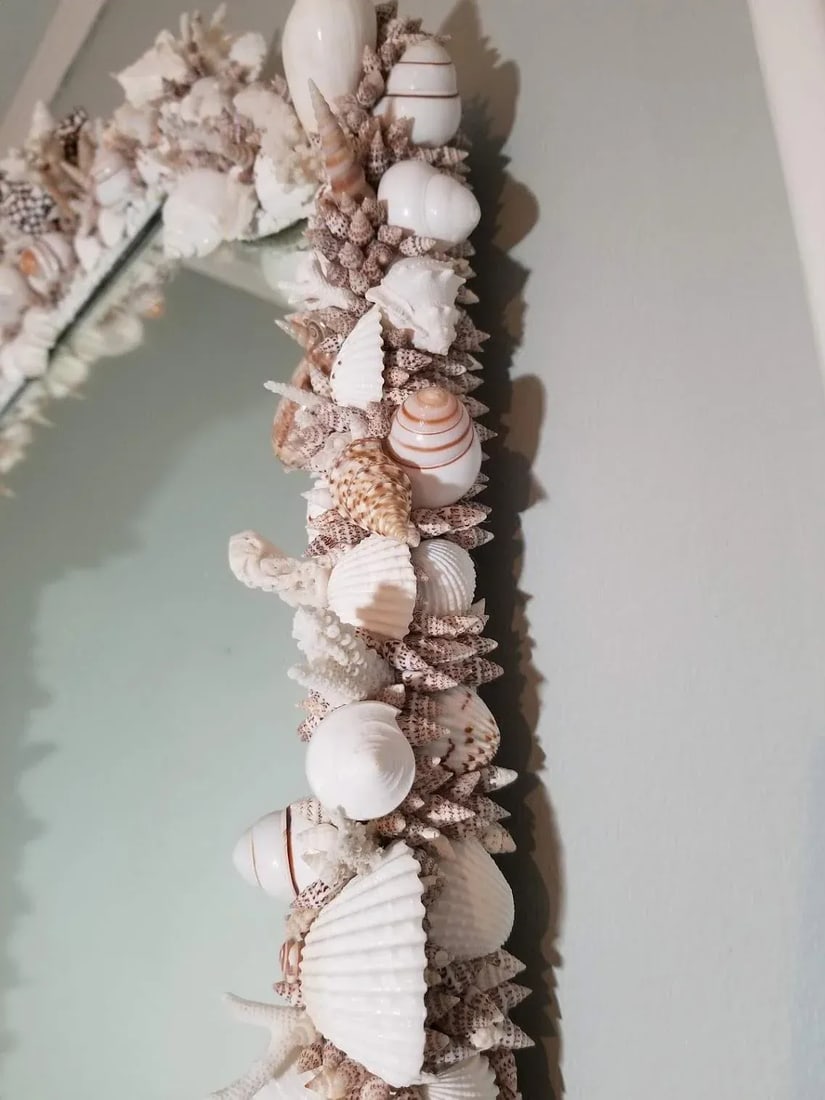 Handmade Natural Sea Shell Encrusted Wall Mirror - 7
