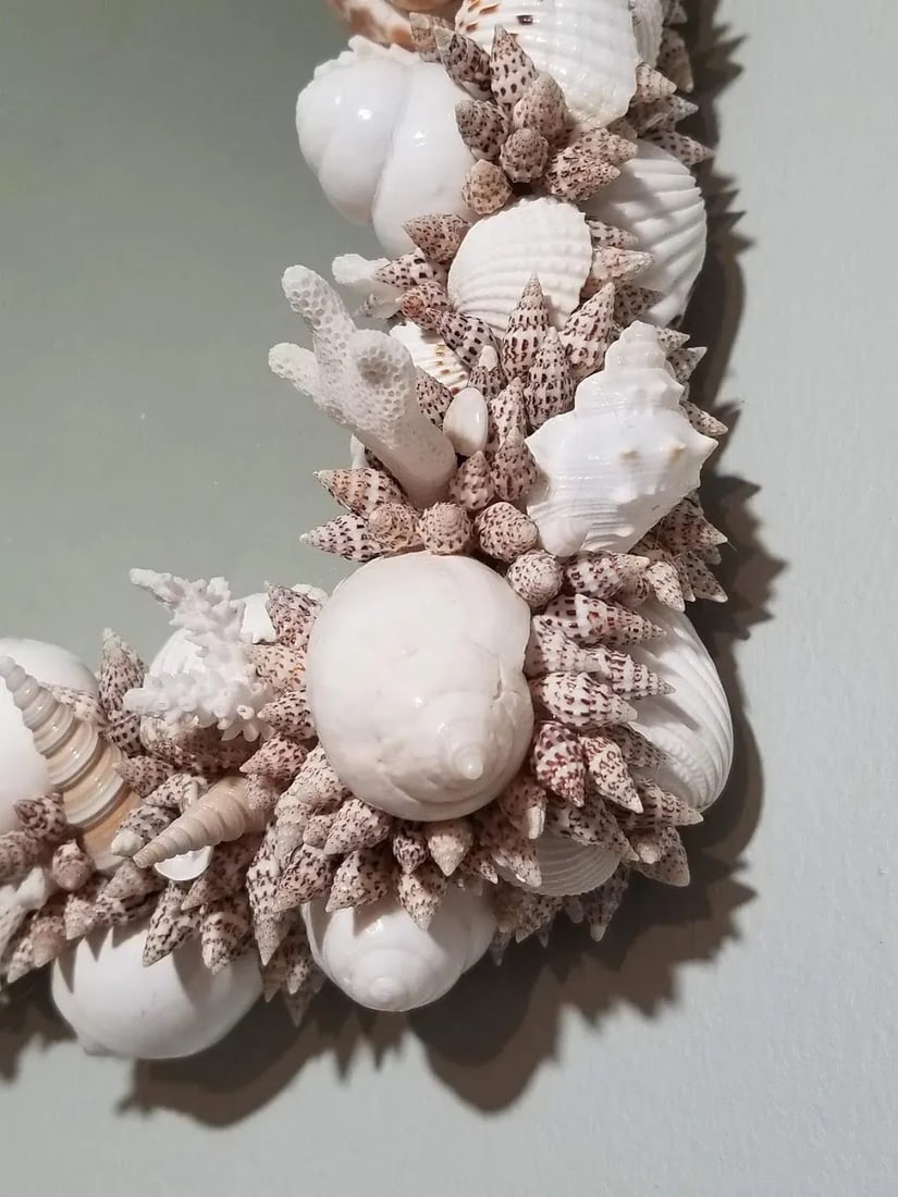 Handmade Natural Sea Shell Encrusted Wall Mirror - 9