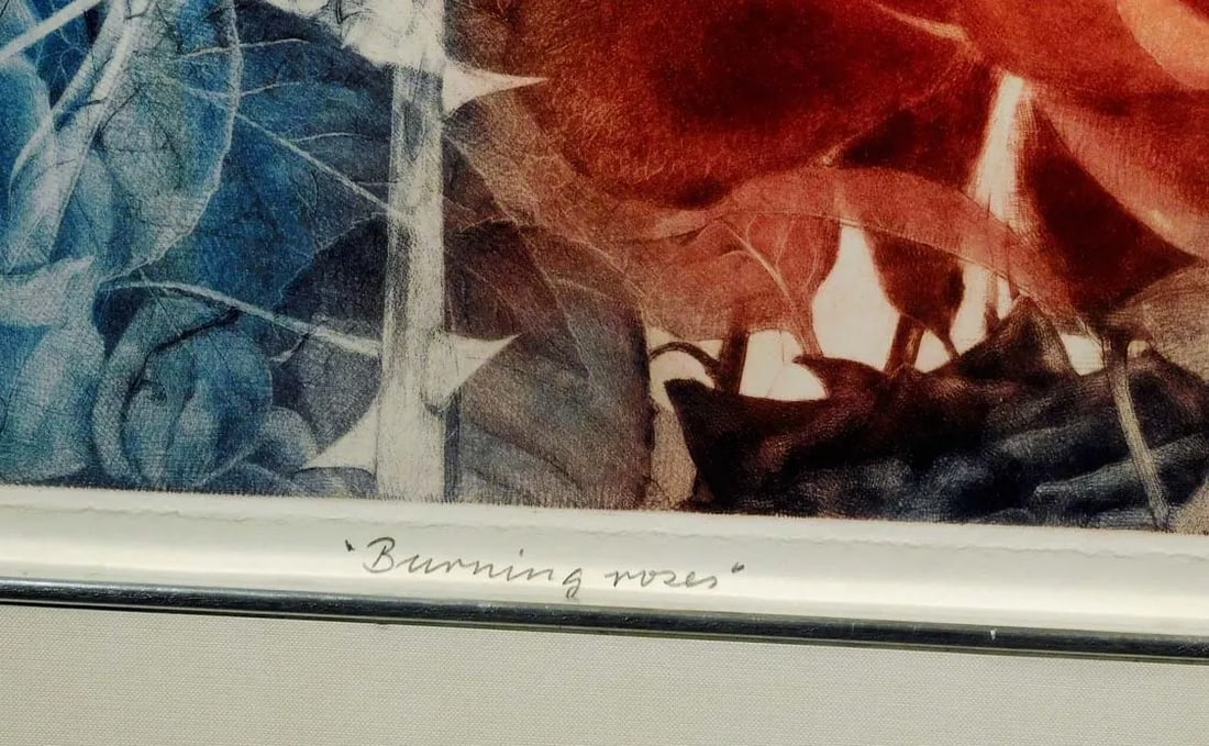 Gh Rothe Burning Rose Hand Signed Original Silver Framed Mezzotint Art - 6