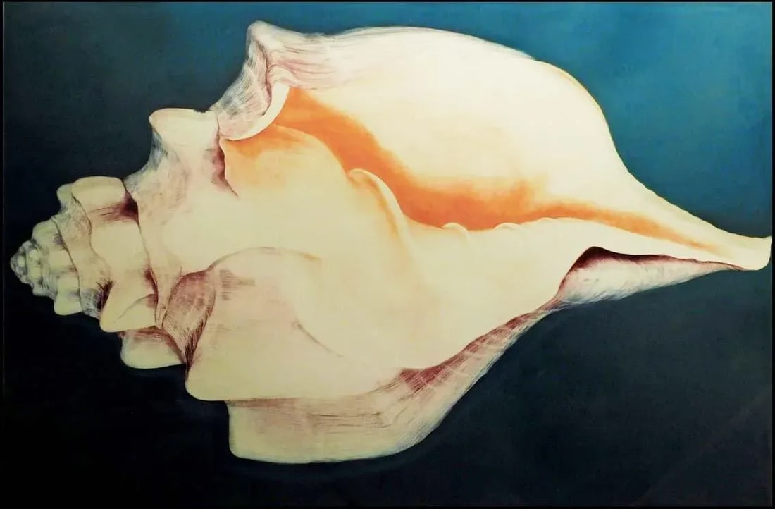 G H Rothe "Mollusk" Signed & Numbered Mezzotint Fine Art Print, Sea Shell Framed - 2