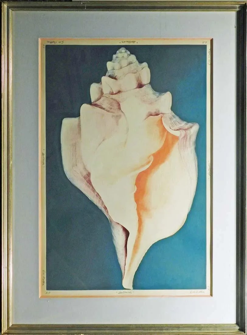 G H Rothe "Mollusk" Signed & Numbered Mezzotint Fine Art Print, Sea Shell Framed - 3