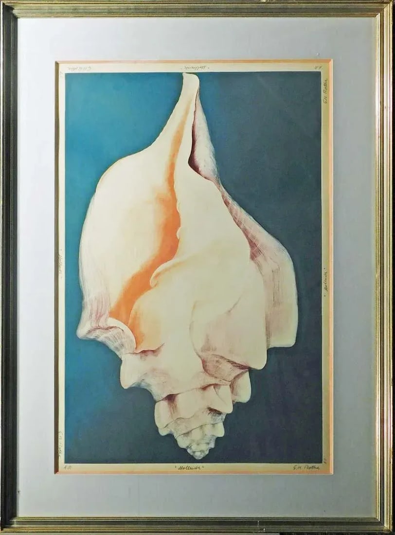 G H Rothe "Mollusk" Signed & Numbered Mezzotint Fine Art Print, Sea Shell Framed - 8