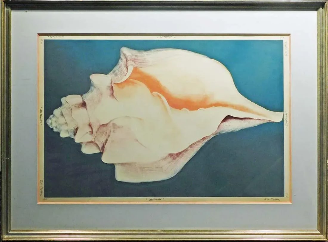 G H Rothe "Mollusk" Signed & Numbered Mezzotint Fine Art Print, Sea Shell Framed - 9