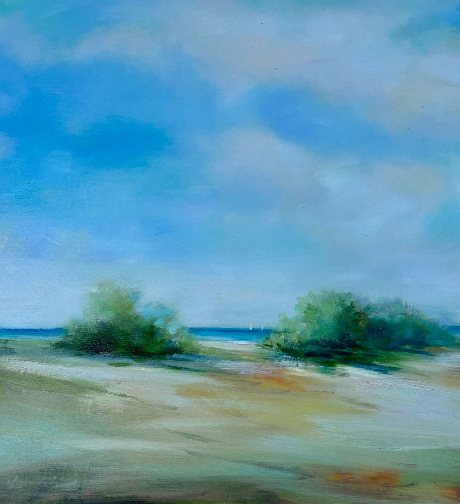 Coastal Beach Dune Blue Sky Seascape Oil Painting by D. Kim - 6